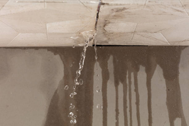 Professional Structural Drying technician working in Quakertown, PA